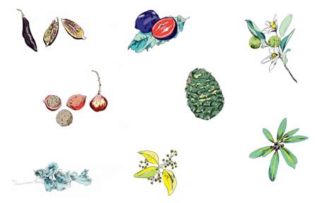 An Assortment Of Different Types Of Earrings On A White Background