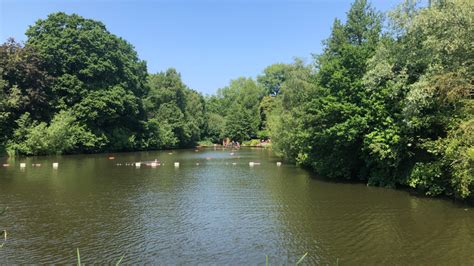 Swim At Hampstead Heath Mixed Bathing Pond