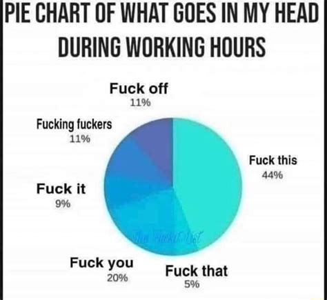 Pie Chart Of What Goes In My Head During Working Hours Fuck Off Fucking Fuckers Fuck This