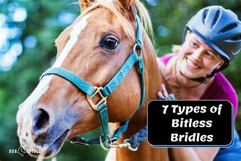 7 Bitless Bridle Types and Their Uses (Equestrian Guide)