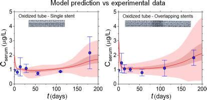 On The Development Of Physiologically Based Toxicokinetic PBTK Models