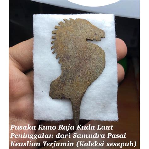 Jual Besi Pusaka Kuno Raja Kuda Laut Asli Peninggalan Samudra Pasai