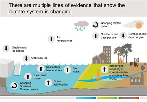 The Weather Of Hernando Beach How Microclimates Shifting Winds And Climate Patterns Determine Daily Life On The Coast