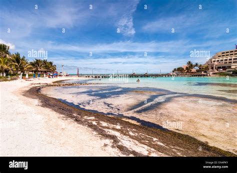 Isla Mujeres Mexico April 22 2014 Day View Of Beach And Tropical