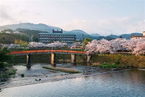 Red Bridge And Sakura With Hot Spring Hotel At Sunrise Ureshino Stock Image Image Of