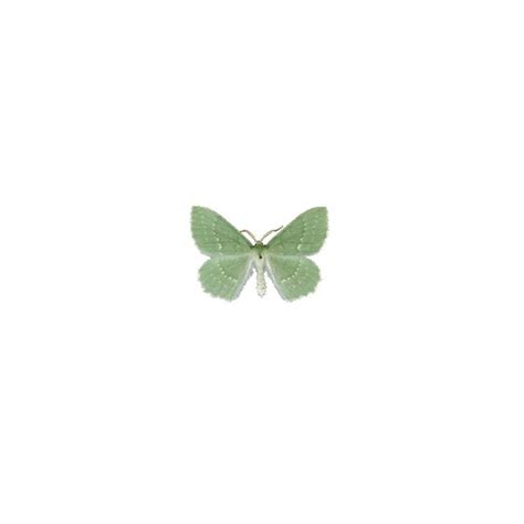 𓍼minimalist icon! | Cute desktop wallpaper, Green aesthetic, App icon ...