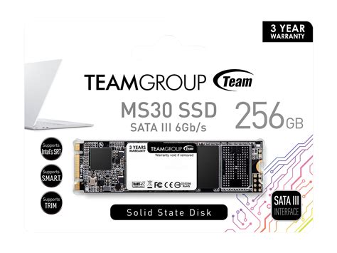 Team Group MS30 M 2 2280 256GB SATA III TLC Internal Solid State Drive