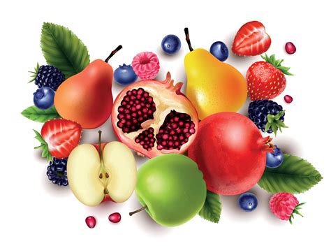 Realistic Fruits And Berries 21855646 Vector Art at Vecteezy