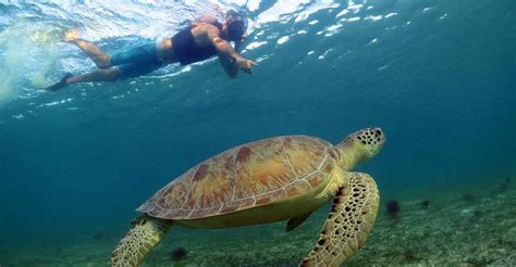 Snorkeling Experience In Cancun | GetYourGuide