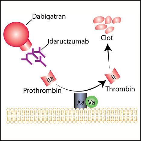 What is idarucizumab? • The Blood Project