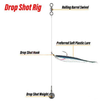 Drop Shot Lures For Bass - 5 Best Baits To Use Drop Shotting