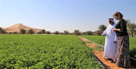 ICBA Abu Dhabi Farming Authority Ink Deal To Help Local Farmers