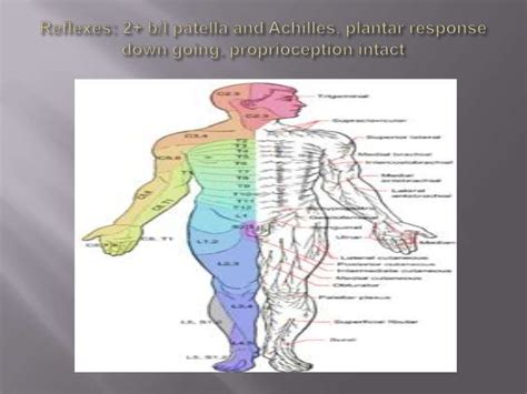 Icd 10 Code For Bursitis Left Deltoid