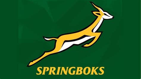 South Africans Flood Social Media With Springbok Profile Pics Sa People