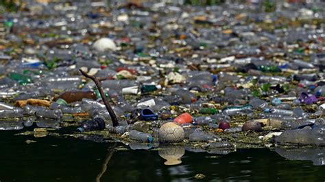 La Contaminación Plástica Se Apodera De Ríos Lagos Y Playas En