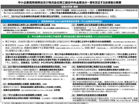 【第211回通常国会法案解説シリーズ38】中小企業信用保険法及び株式会社商工組合中央金庫法の一部を改正する法律案 石田まさひろ政策研究会