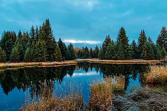 Lake Moraine Canada Mountains Tourism Forest Trees Woods