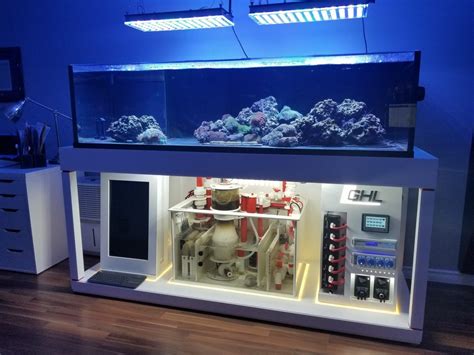 An Aquarium Is Shown In The Middle Of A Room