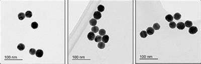 40nm Colloidal Gold Nanoparticles 10 OD (210-0100): Novus Biologicals