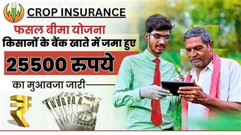 Crop Insurance Payment 2024 खुशखबरी फसल बीमा भुगतान करने वाले किसानों