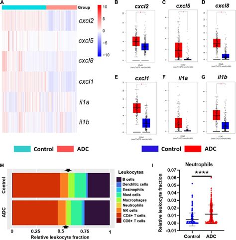 Colon cancer tumors overexpress transcripts related to molecules ... 