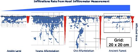 Infiltration Patterns From Dye Tracer Experiment Brilliant Blue Fcf