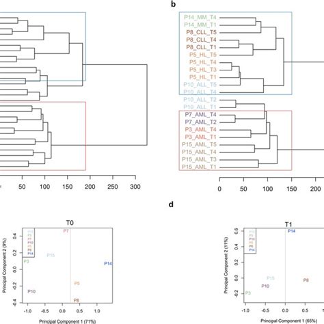 Genome Wide Methylation Pattern In Donor And Recipient Hspcs A B