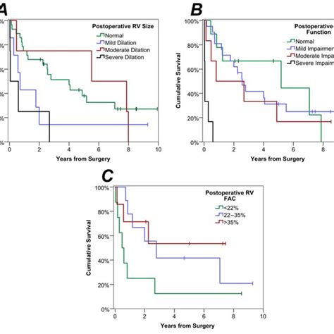 Kaplanmeier Curve Of Postoperative Survival Download Scientific Diagram