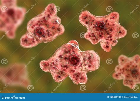 Cerveau Consommation De L Infection D Amibe Naegleriasis Illustration