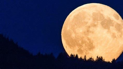 Supermoon Malam Ini Bulan Terlihat Lebih Dekat Dengan Bumi