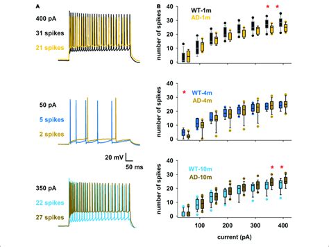 Differences In Spike Count A Overlap Of Typical Traces For The