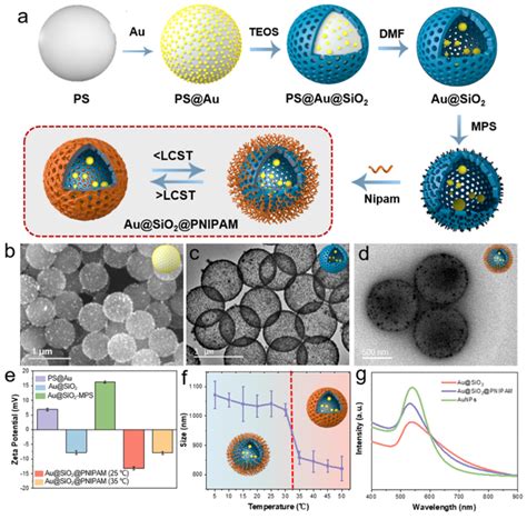 哈尔滨工业大学（深圳）马星团队acs Nano 温敏响应酶驱动微量采样纳米机器人 X Mol资讯