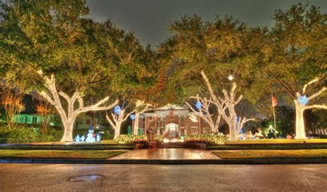 Santa And His Reindeer In River Oaks Yard Christmas Lights Scavenger