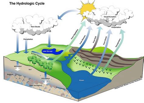 What is the Hydrologic Cycle and Steps of the Hydrologic Cycle ...