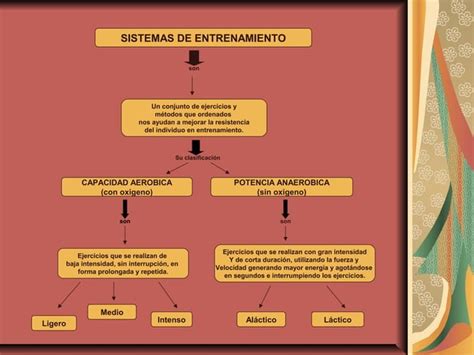 Mapa Conceptual Sistemas De Entrenamiento Que Desarrollan La Capacidad