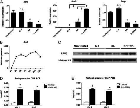 Expression And Role Of Rar B In Il 4 Plus Ratreated Idcs A