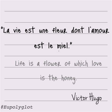 French Love Quotes With English Translation