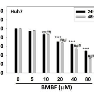 Anti Proliferation Effect Of BMBF In The Huh7 Cells After Treatment