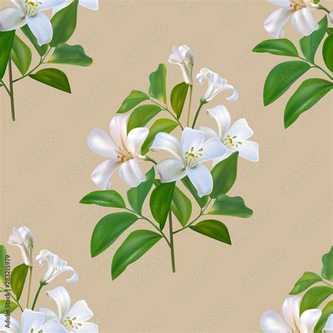 Sampaguita Jusmine White Flower And Green Leaves Seamless Pattern