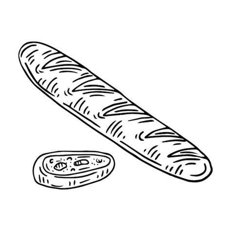 Dibujo Vectorial De Pan Baguette Bosquejo Del Producto De Panader A