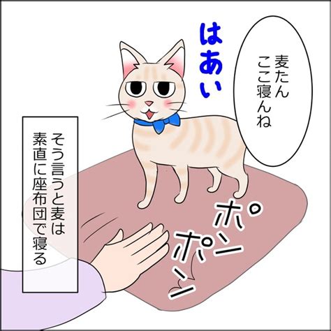 ＜画像59 102＞【ネコ漫画】夢にまでみた「猫との生活」を手にいれた！生きててよかった猫との日常をリアルに描いたネコ漫画に共感の嵐