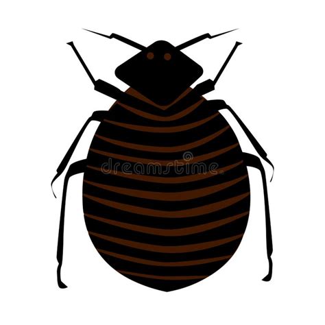 Cartoon Vector Image Flea White Stock Illustrations 635 Cartoon