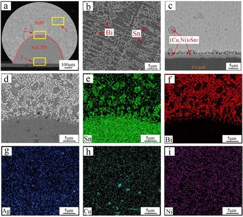 Microstructure And Element Mapping Of The Snbi Sacbn Cu Solder Joint