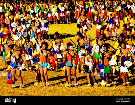 Reed dance swazi hi-res stock photography and images - Alamy