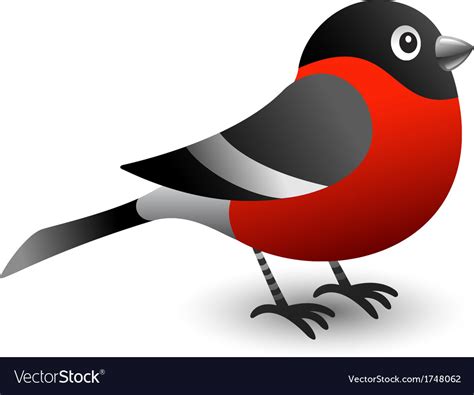 Bullfinch Royalty Free Vector Image Vectorstock