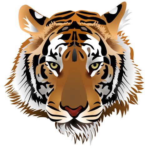 Tiger Clip art - tiger png download - 600*600 - Free Transparent Tiger ...