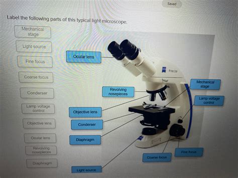 40 label the microscope