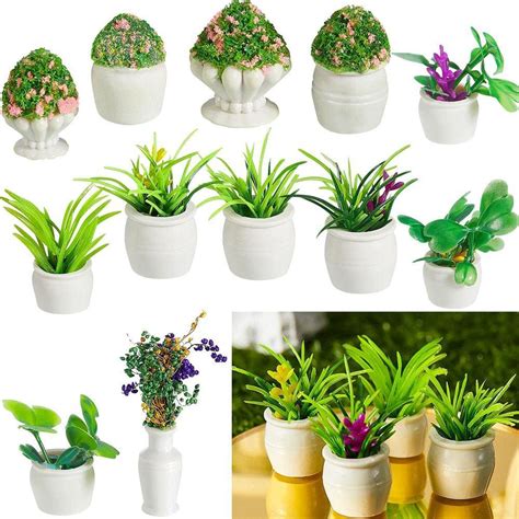 Mini Plantas Flor Pontofrio