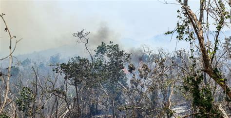 Incendios Forestales Azotan A La Ciudad Mexicana De Acapulco Tras