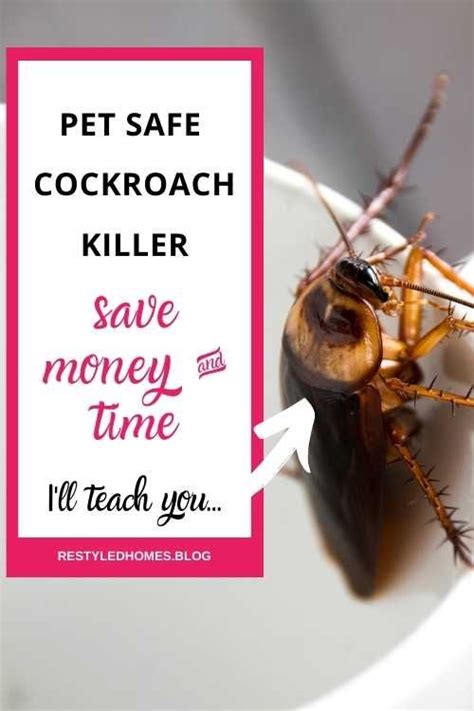 Pet Safe Roach Killer Get Rid Of Those Pests Roach Killer